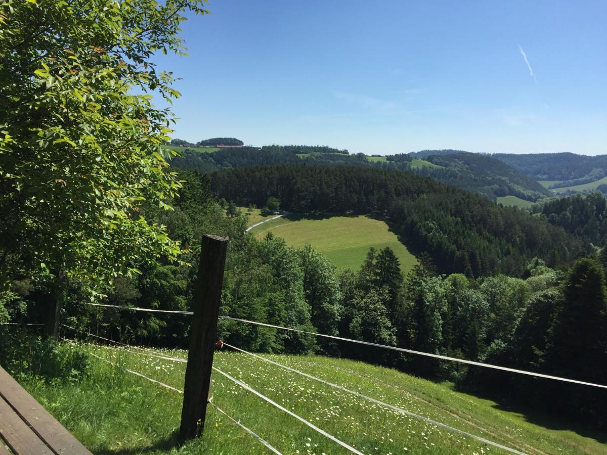 Haflingerhof Luef Villa Bad Schonau Bagian luar foto