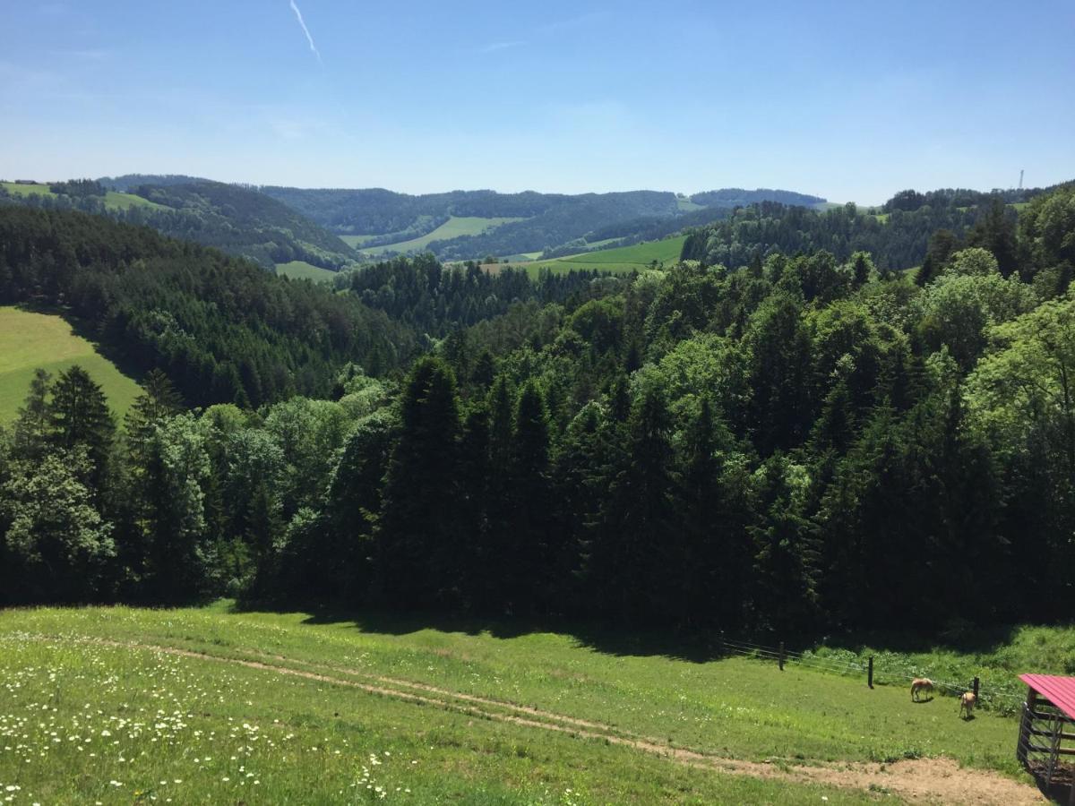 Haflingerhof Luef Villa Bad Schonau Bagian luar foto