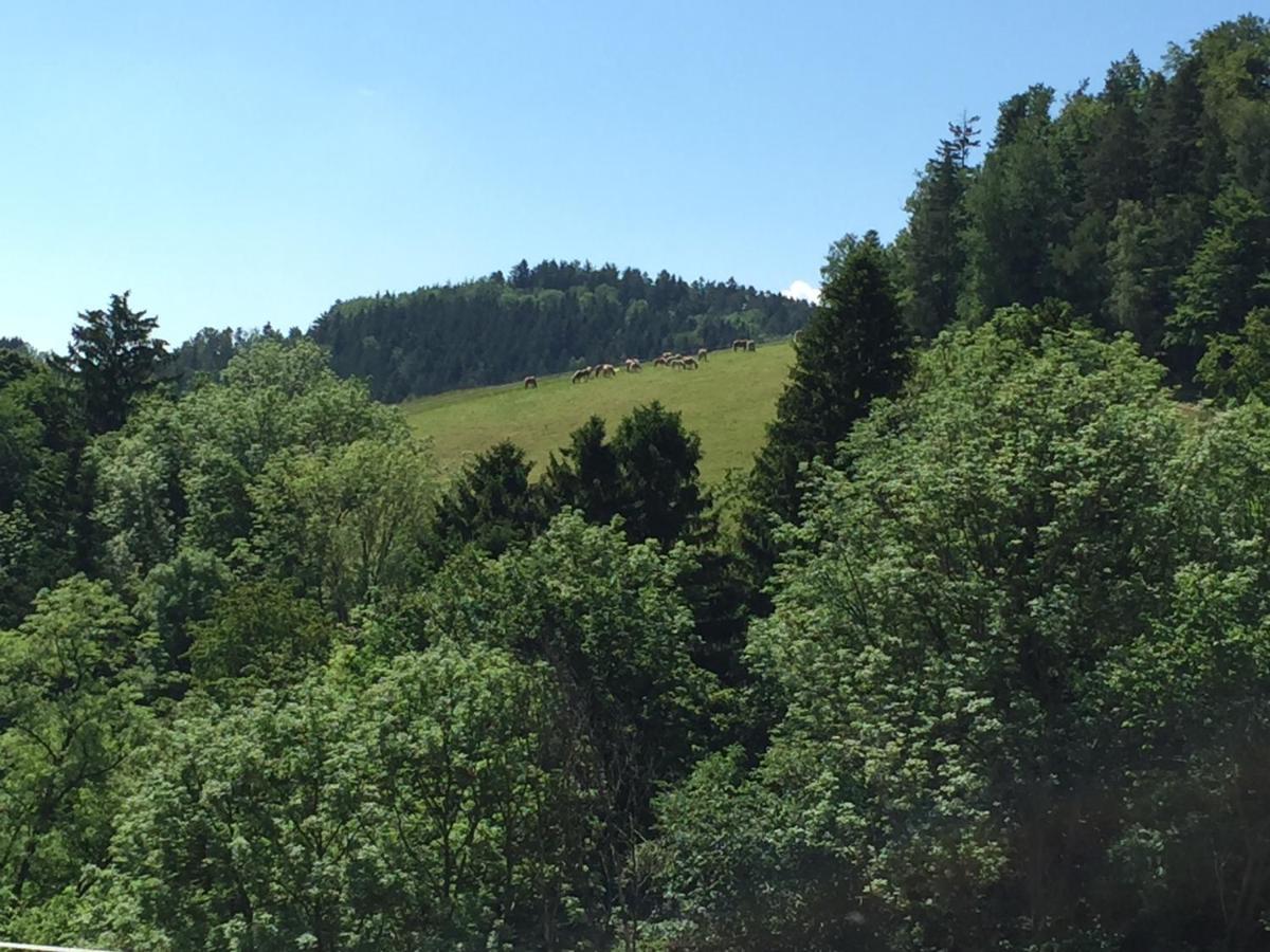 Haflingerhof Luef Villa Bad Schonau Bagian luar foto